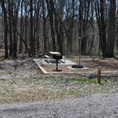 Review photo of Fort Pillow State Historic Park by Rick P., April 10, 2019