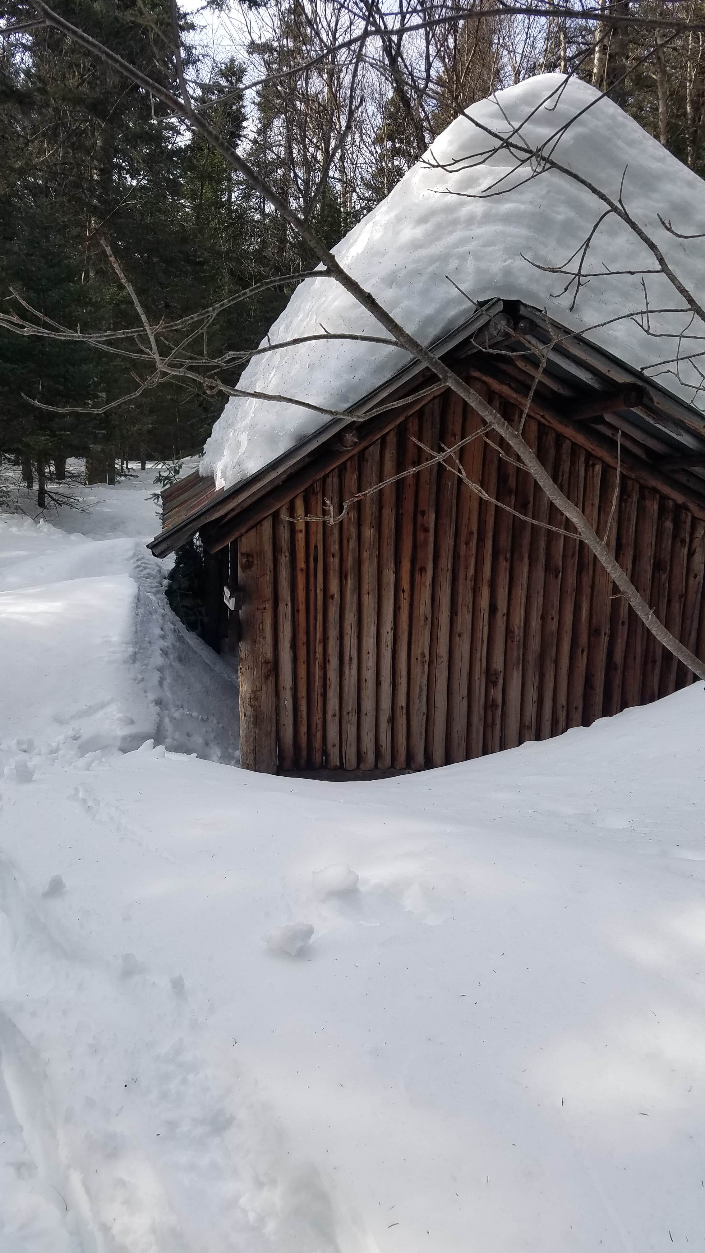 Ryan M.'s photo of tent camping at Ethan Pond Shelter near West Newfield, ME