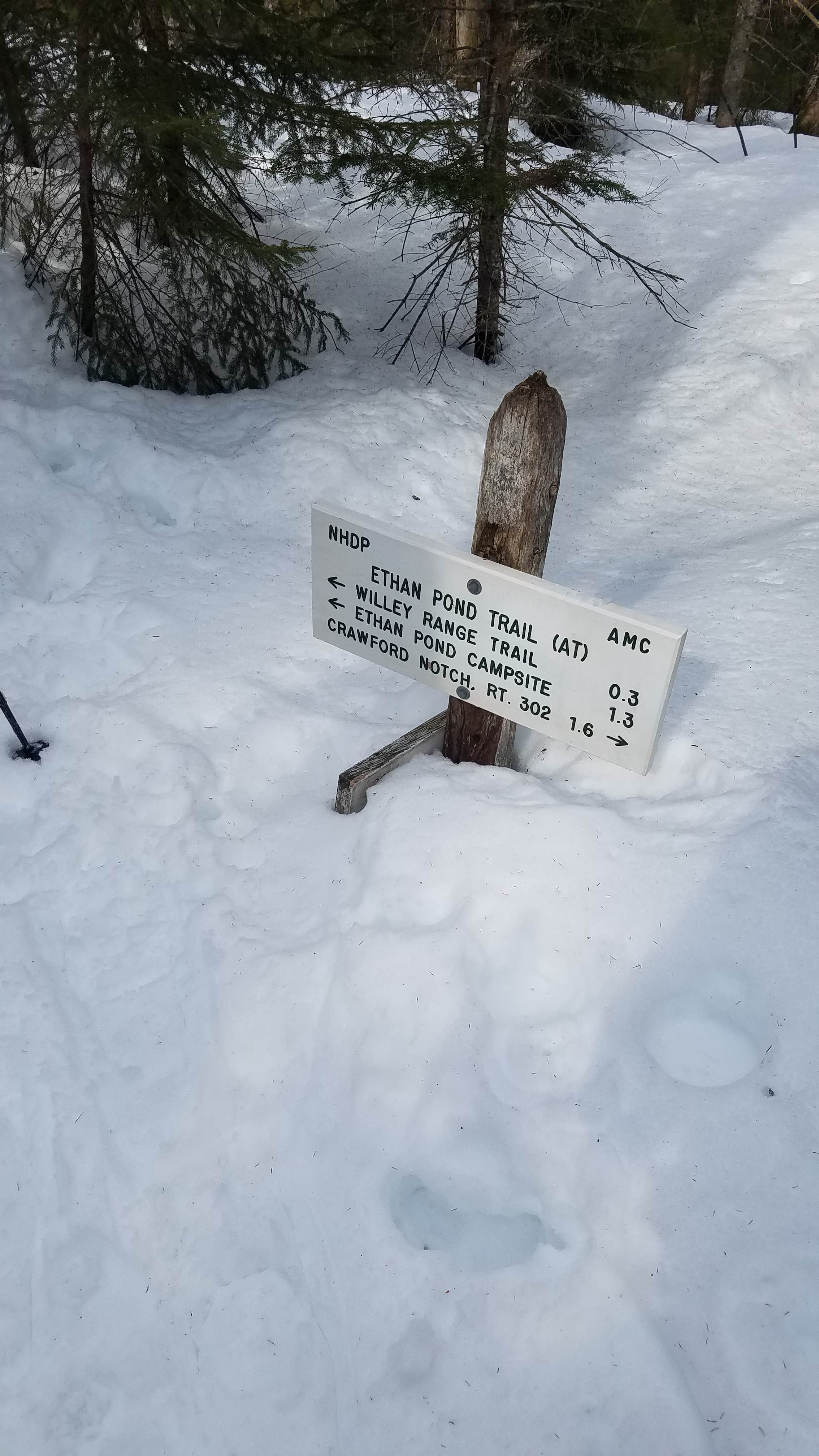 Camper-submitted photo at Ethan Pond Shelter near Benton, NH