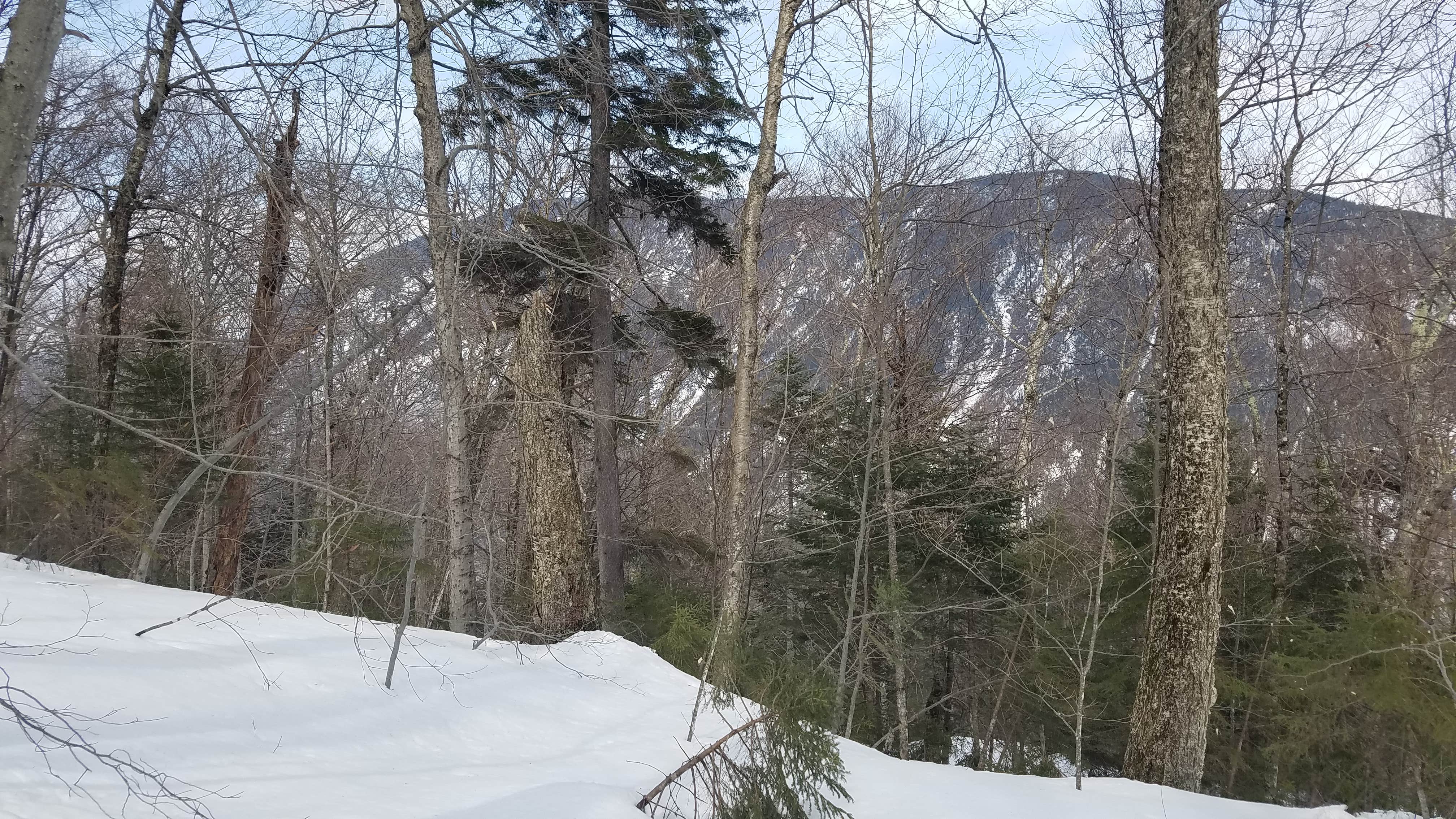 Camper-submitted photo at Ethan Pond Shelter near Benton, NH