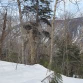 Review photo of Ethan Pond Shelter by Ryan M., April 10, 2019