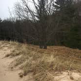 Review photo of Cedar Campground — Ludington State Park by Kaleigh J., April 10, 2019