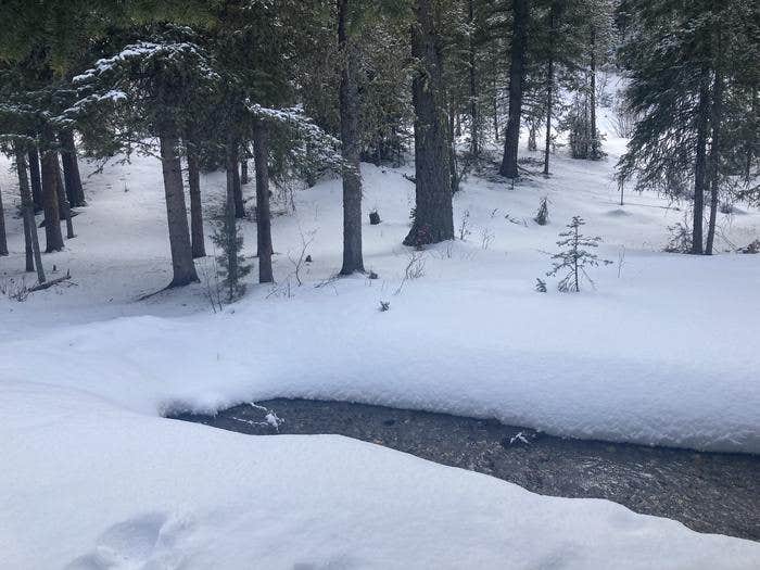 Camper submitted image from Douglas Creek Cabin - 2