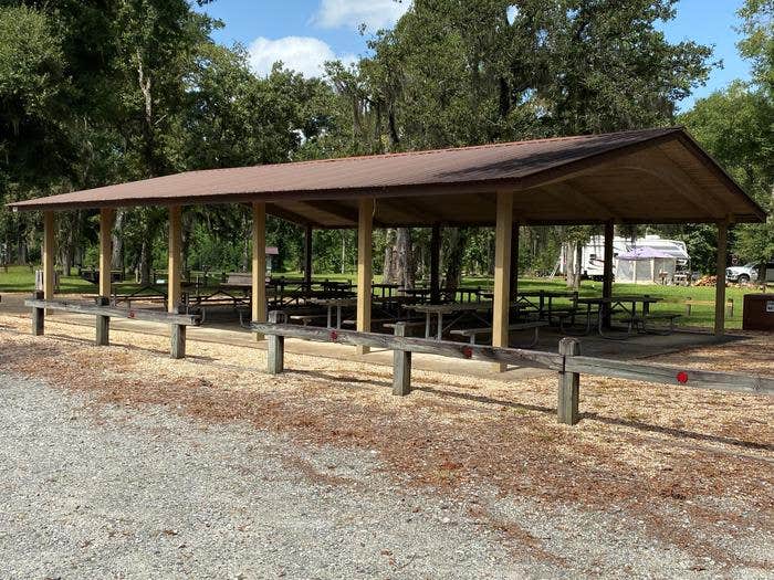 Camper submitted image from Hales Landing Park — Lake Seminole (FCFS) - 1