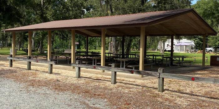 Camper submitted image from Hales Landing Park — Lake Seminole (FCFS)