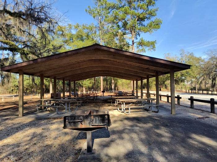 Camper-submitted photo at Hales Landing Park — Lake Seminole (FCFS) near Lake Seminole