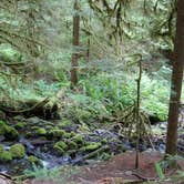 Review photo of Sol Duc Hot Springs Resort Campground — Olympic National Park by Brendan A., August 26, 2016