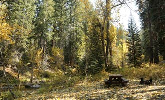 Camping near Buckeye Flat Campground — Sequoia National Park: Cold Springs Campground — Sequoia National Park, Three Rivers, California