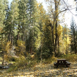 Public Campgrounds: Cold Springs Campground — Sequoia National Park