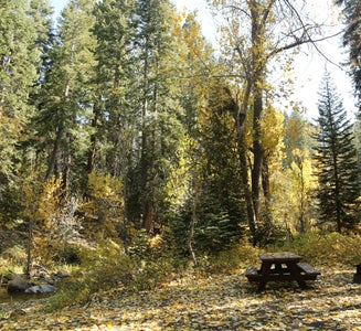 Camper-submitted photo from Cold Springs Campground — Sequoia National Park