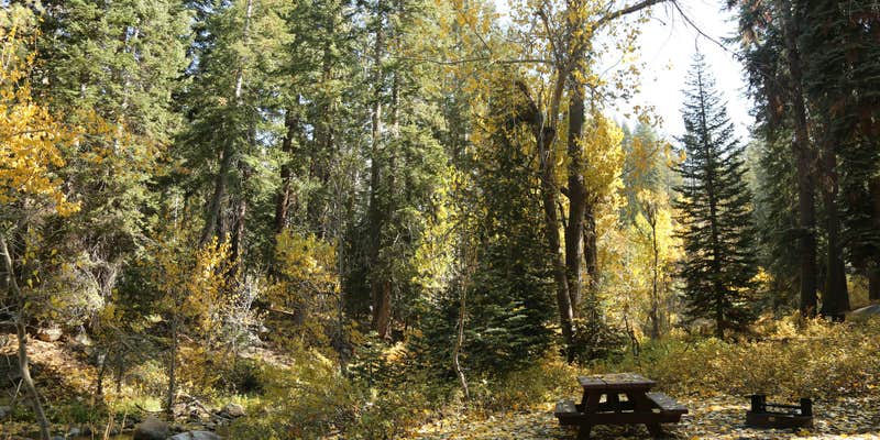 Camper submitted image from Cold Springs Campground — Sequoia National Park
