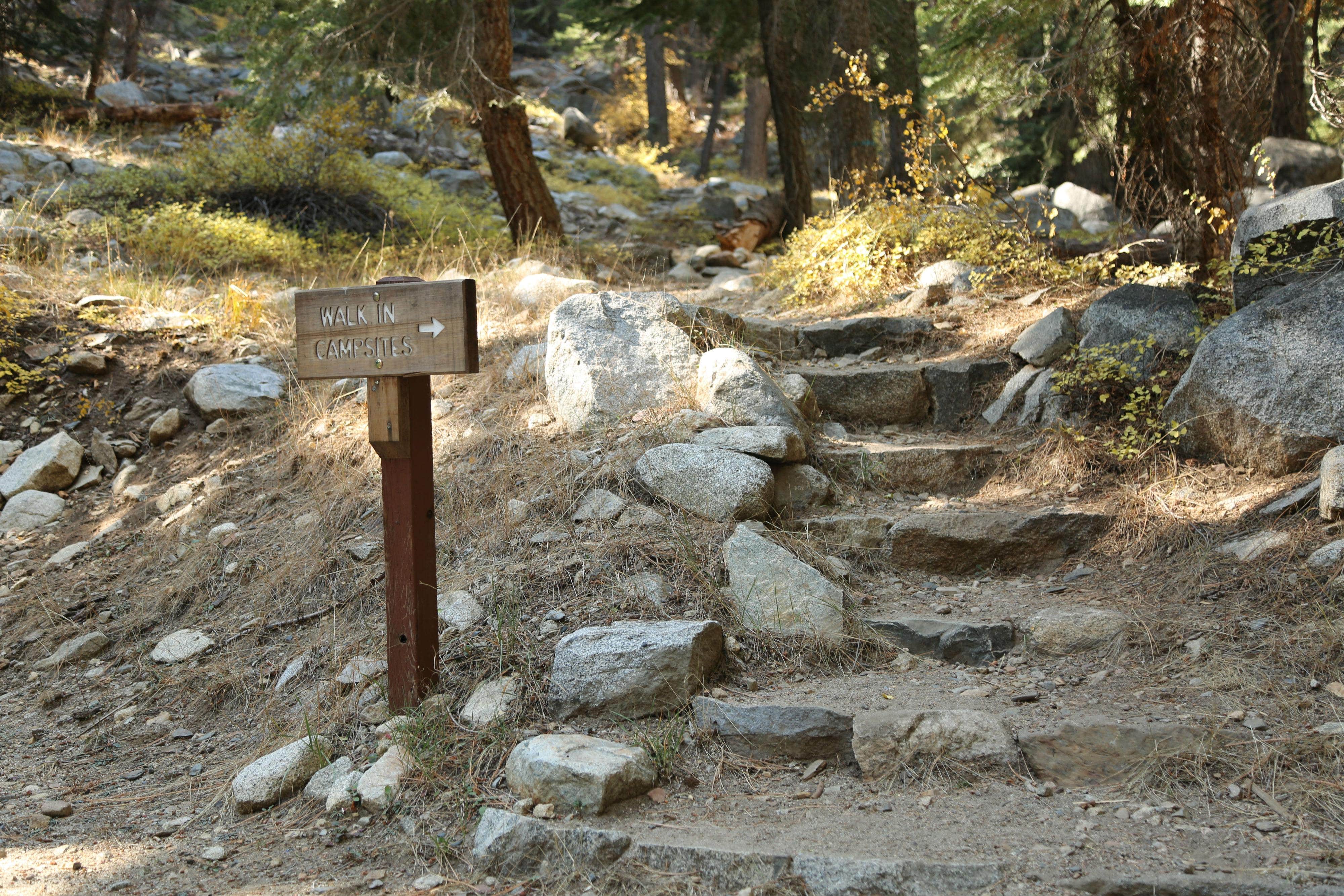 Camper submitted image from Cold Springs Campground — Sequoia National Park - 5