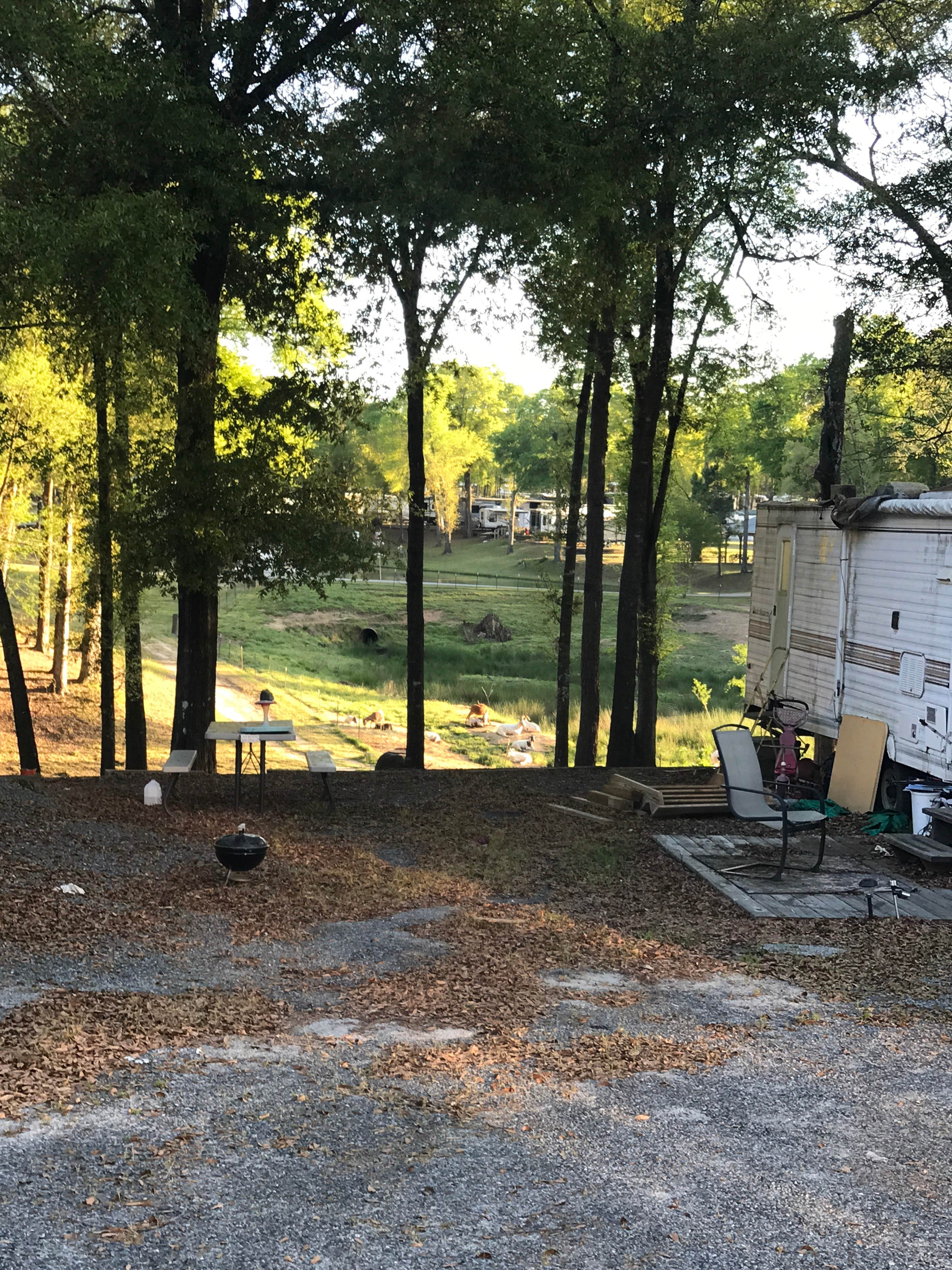 Kelsey G.'s photo at Fair Harbor RV Park near Warner Robins, GA