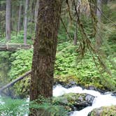 Review photo of Sol Duc Hot Springs Resort Campground — Olympic National Park by Brendan A., August 26, 2016