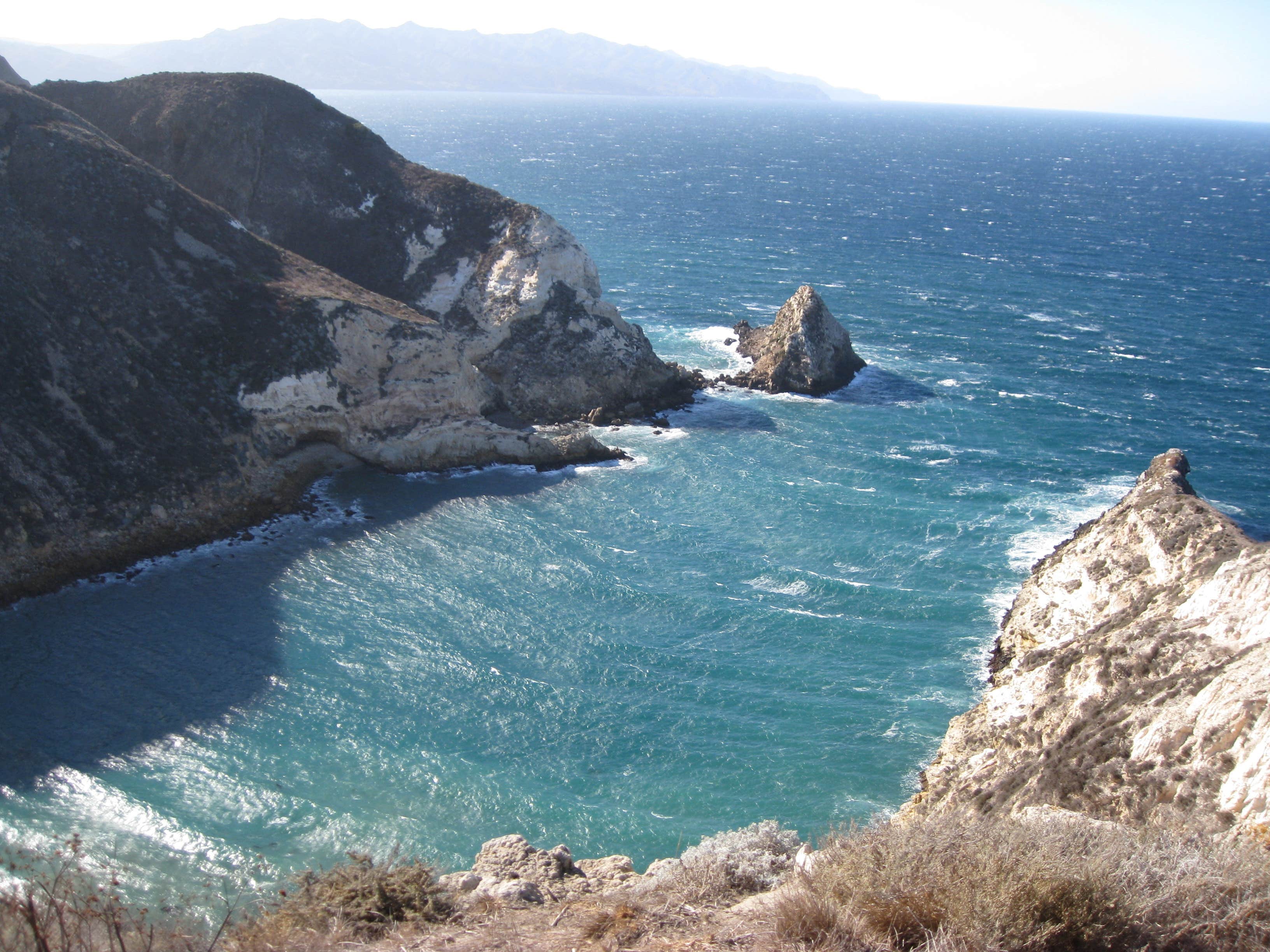 Camper submitted image from Anacapa Island Campground — Channel Islands National Park - 4