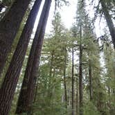 Review photo of Sol Duc Hot Springs Resort Campground — Olympic National Park by Brendan A., August 26, 2016