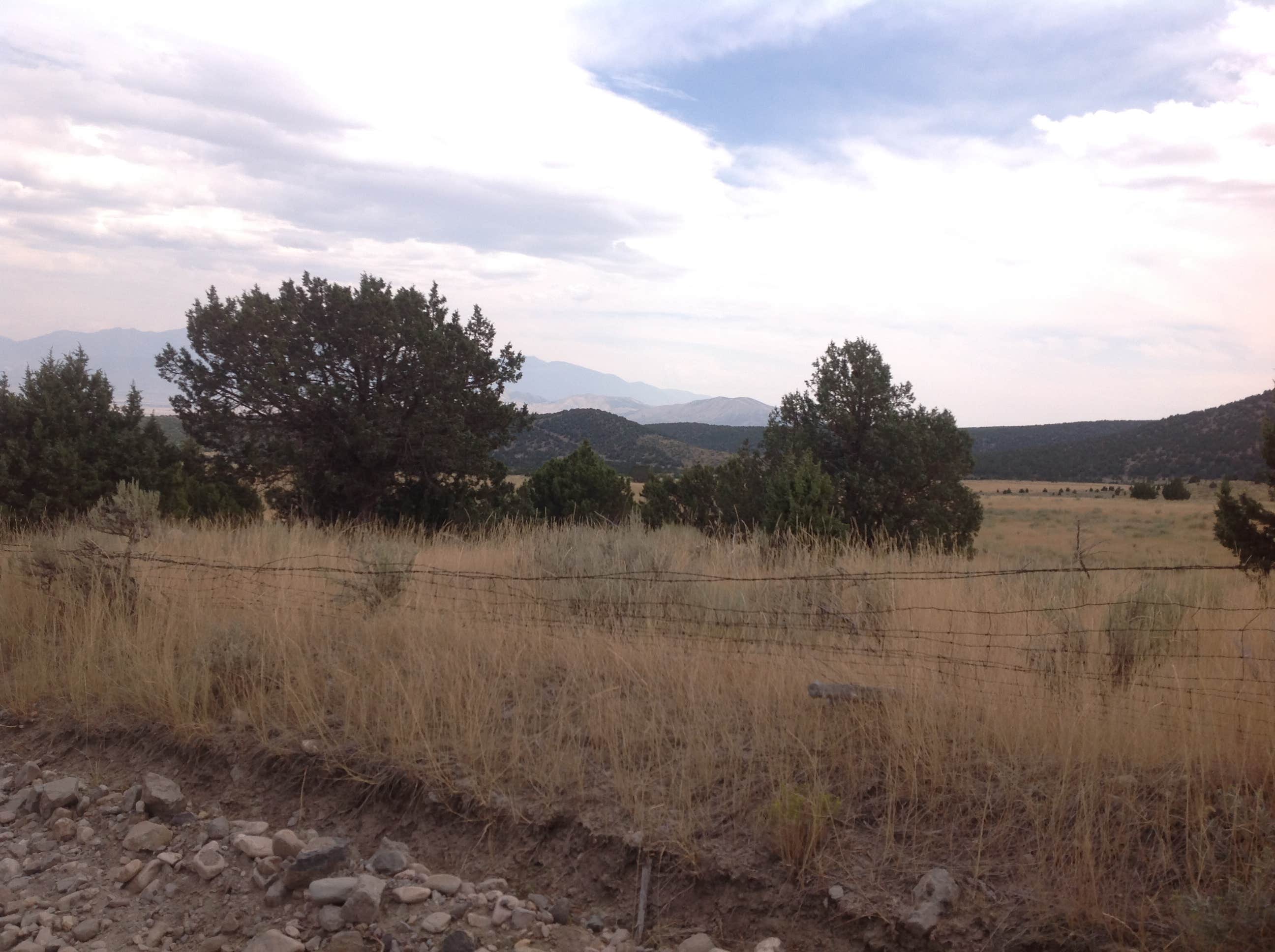 Camper submitted image from Cottonwood Campground - 2