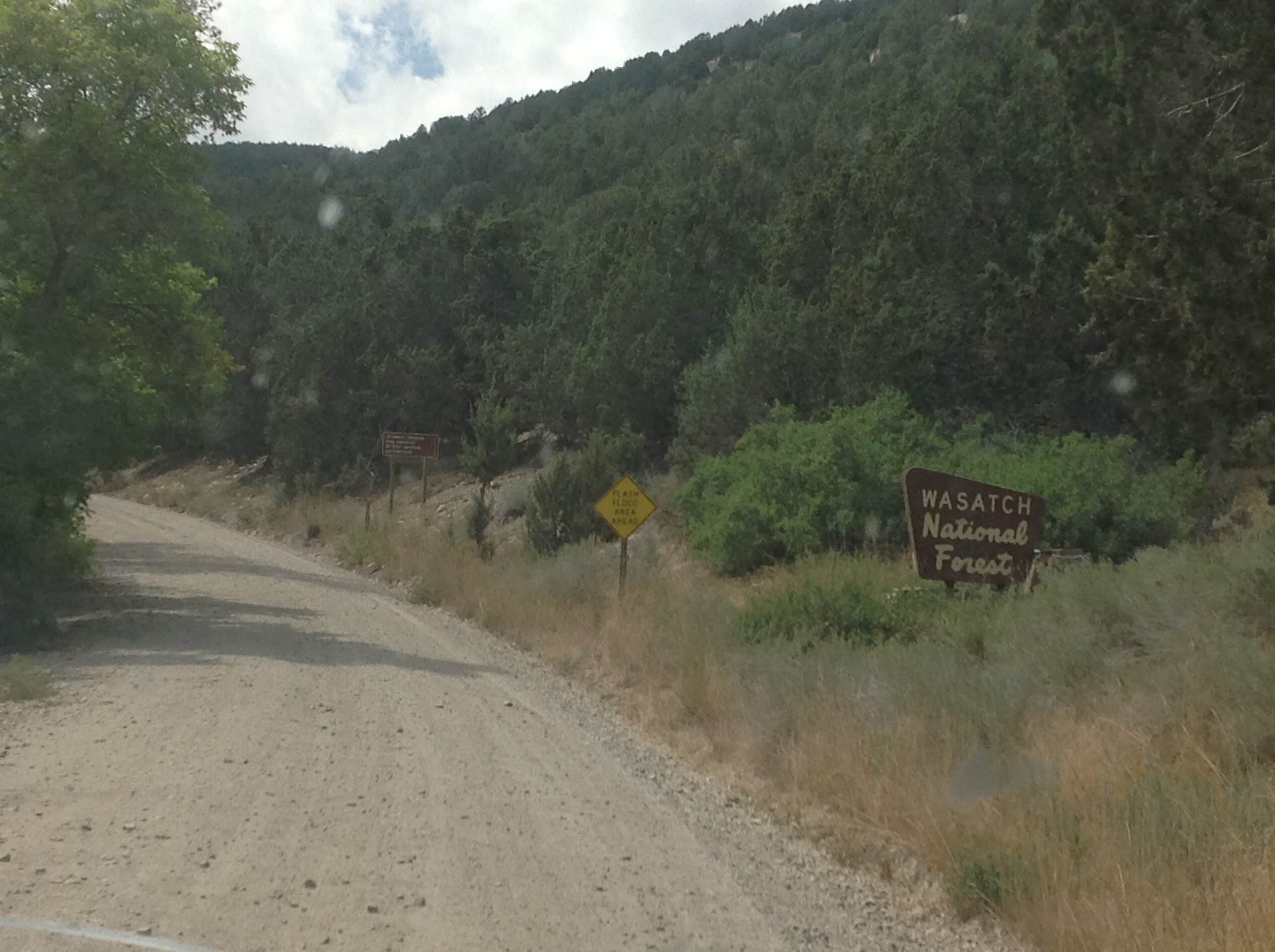 Camper submitted image from Cottonwood Campground - 1