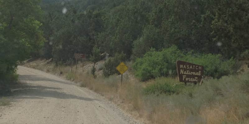 Camper submitted image from Cottonwood Campground