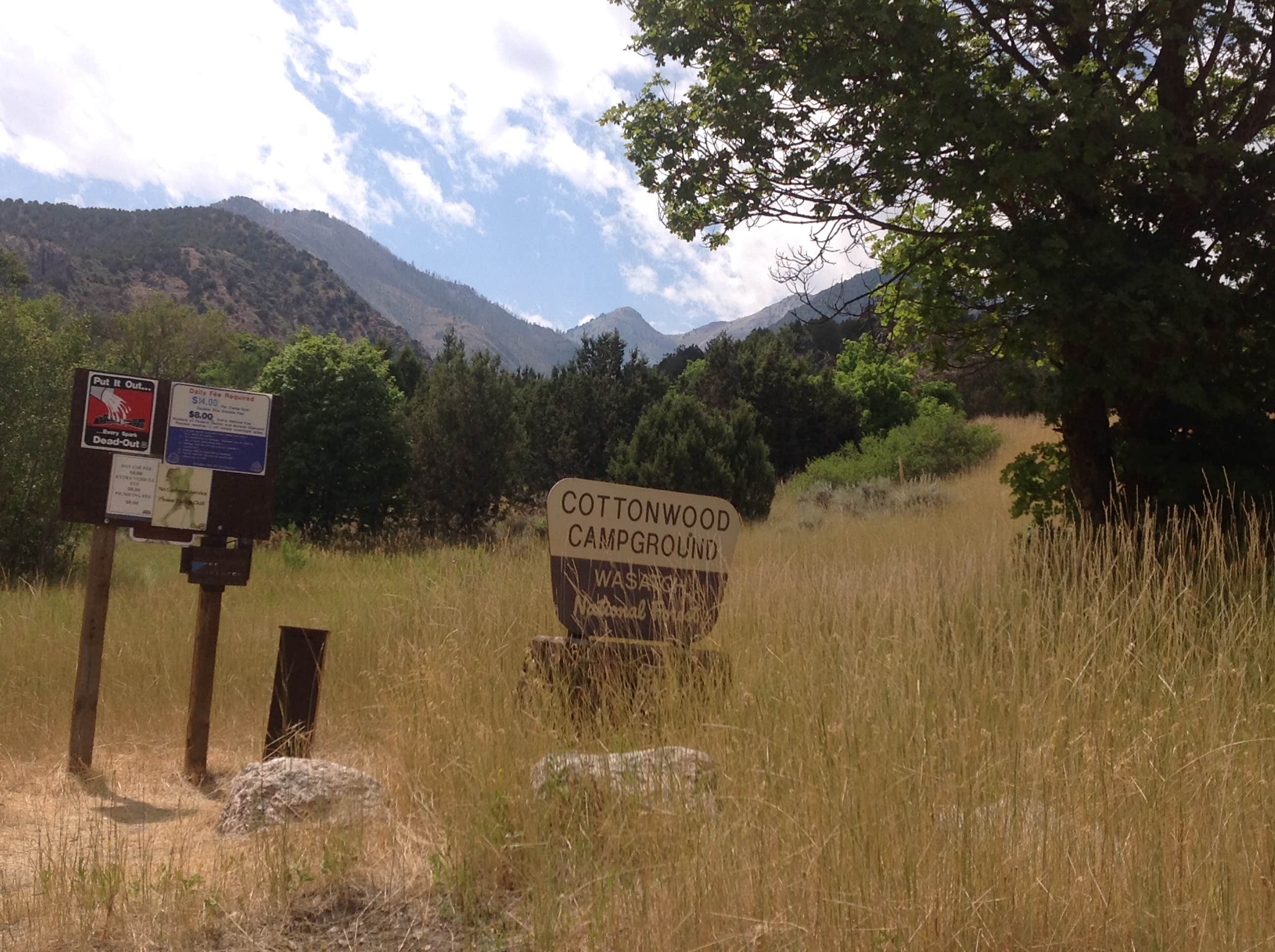 Camper submitted image from Cottonwood Campground - 4