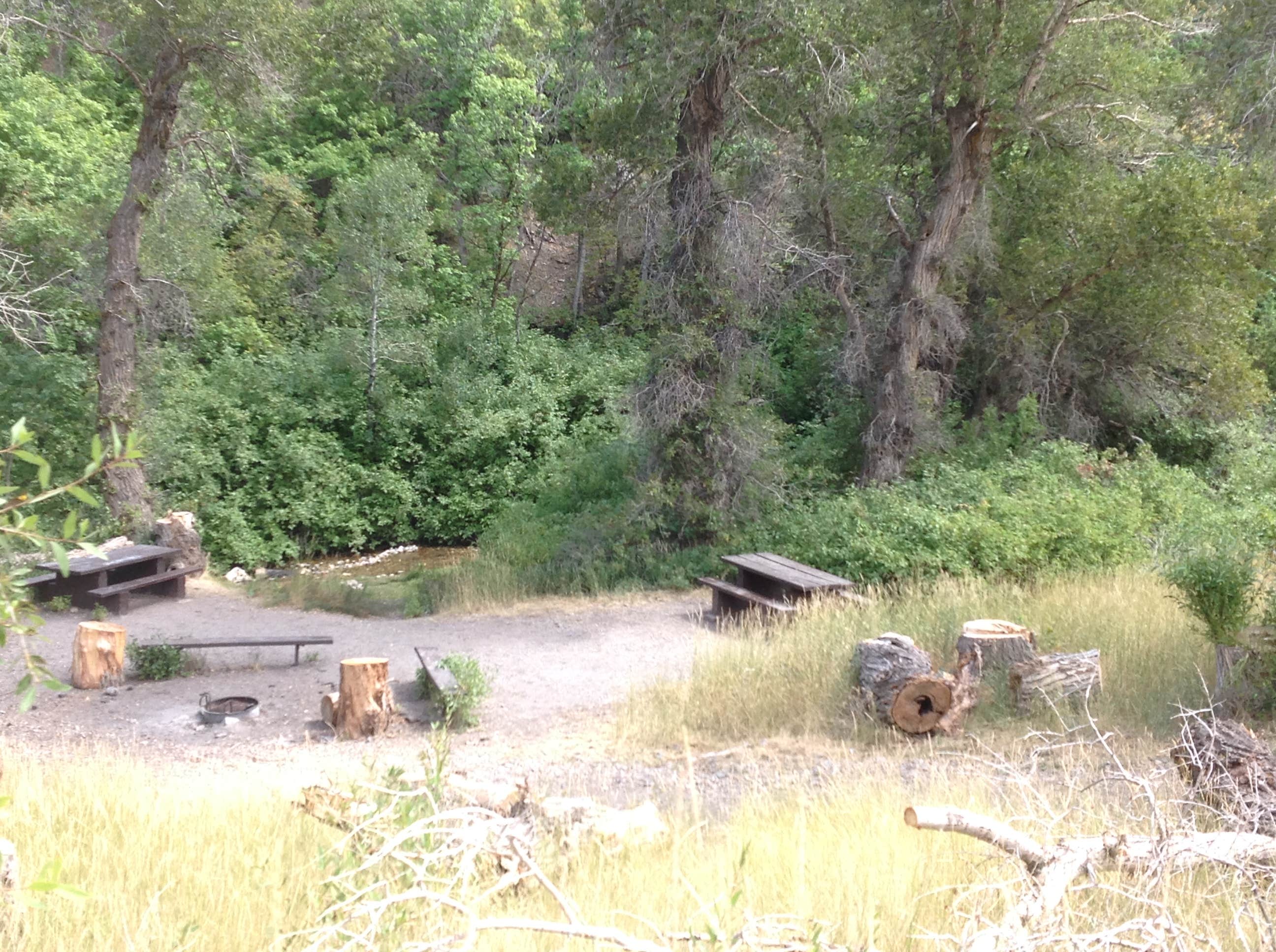 Camper-submitted photo at Cottonwood Campground near Nephi, UT