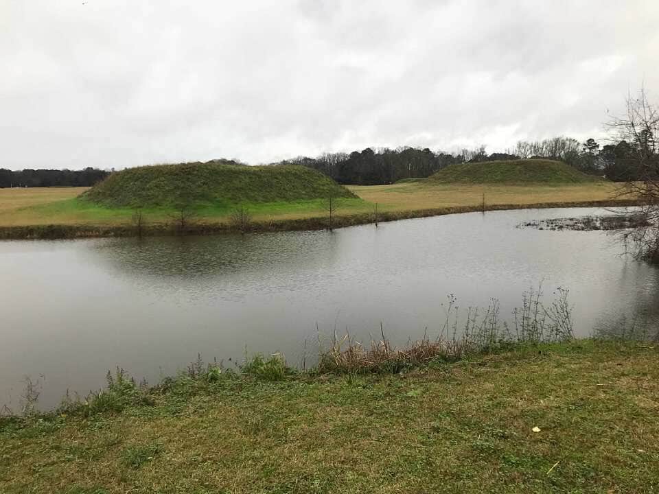 Camper submitted image from Moundville Archaeological Park - 3