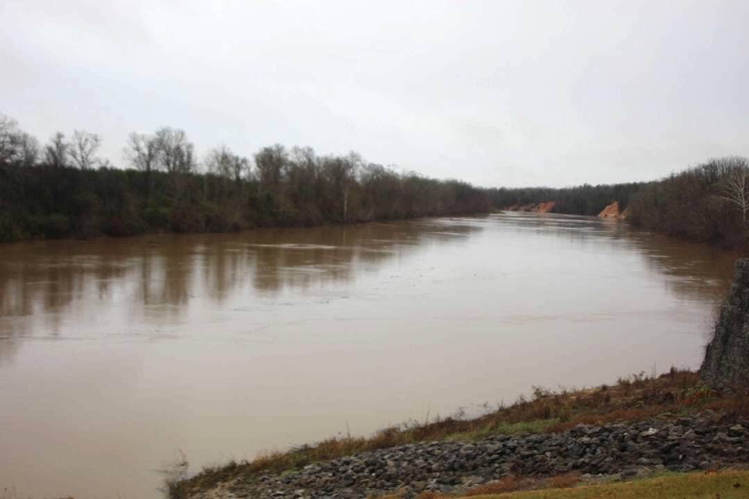 Camper-submitted photo at Moundville Archaeological Park near Northport, AL