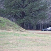 Review photo of Moundville Archaeological Park by Joel R., April 11, 2019