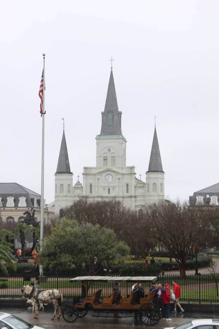 Camper submitted image from Jude Travel Park of New Orleans - 3