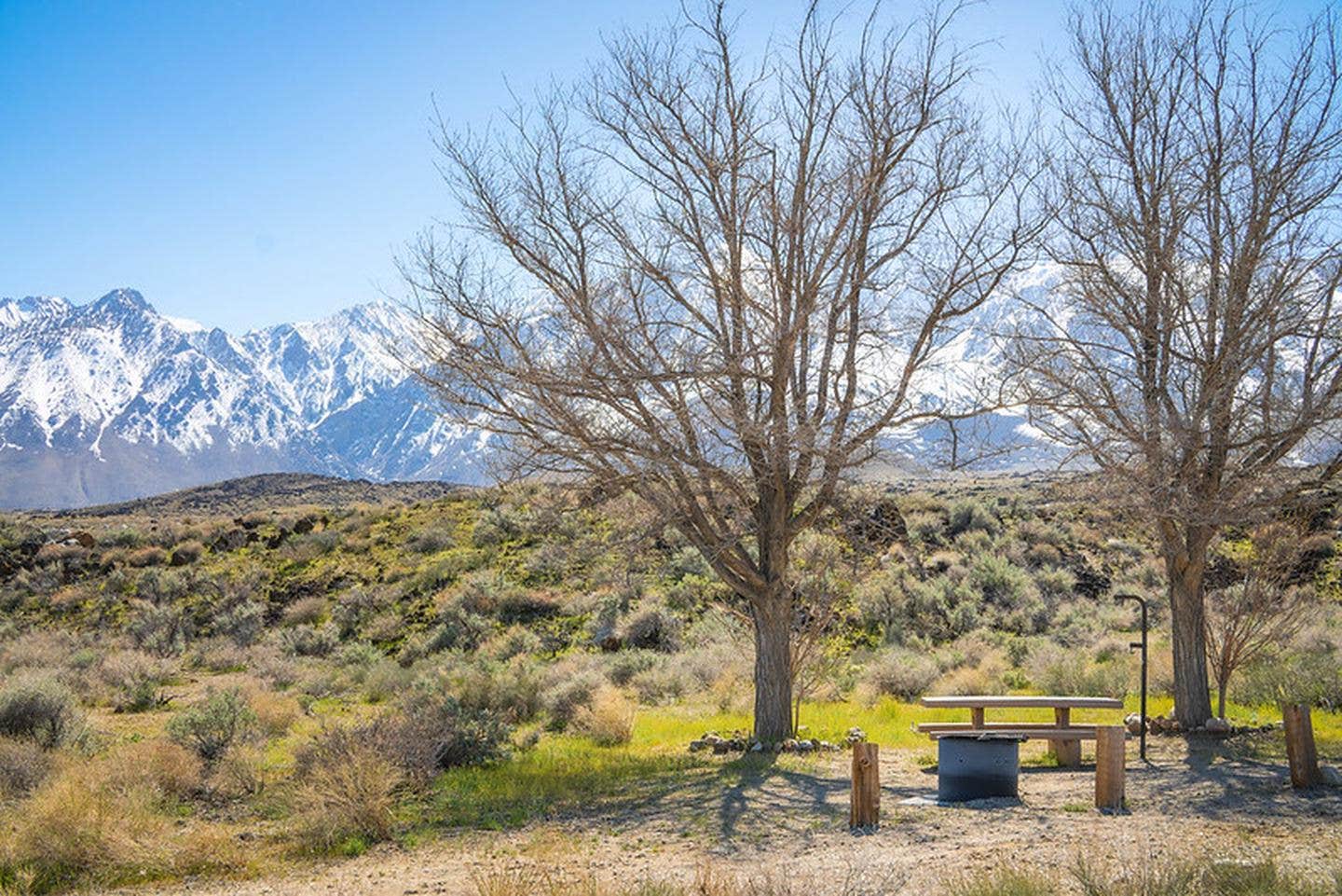 Camper submitted image from Goodale Creek Campground - 1