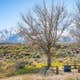 Goodale Creek Campground