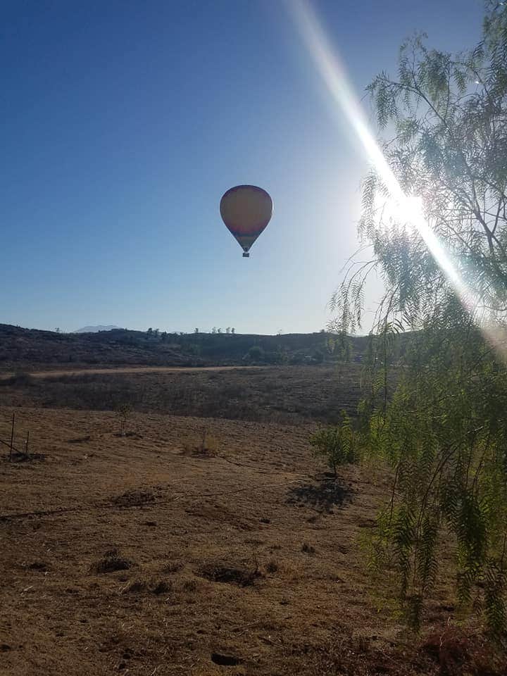 Camper submitted image from Bierbaum Pepper Farm - 5