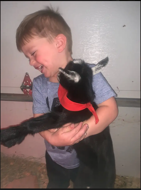 Marcella B.'s photo of camping with pets at Bierbaum Pepper Farm near Lake Elsinore, CA