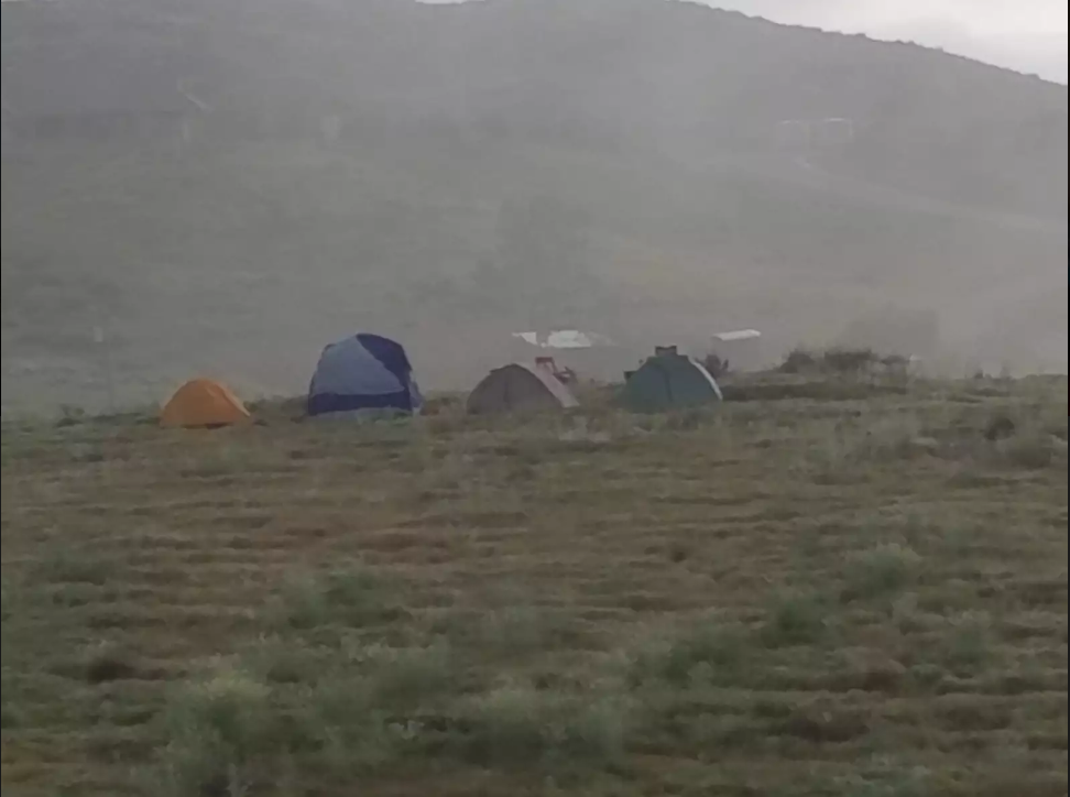 Marcella B.'s photo at Bierbaum Pepper Farm near Cleveland National Forest