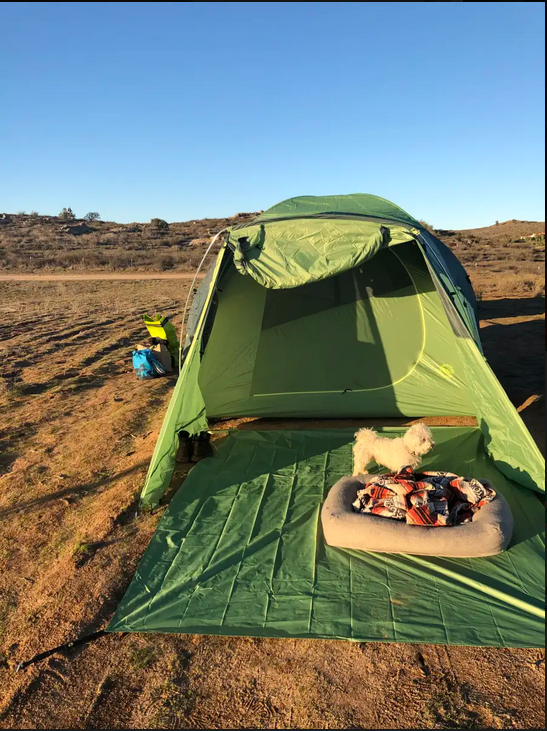 Camper submitted image from Bierbaum Pepper Farm - Temporarily Closed - 1