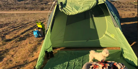 Camper submitted image from Bierbaum Pepper Farm