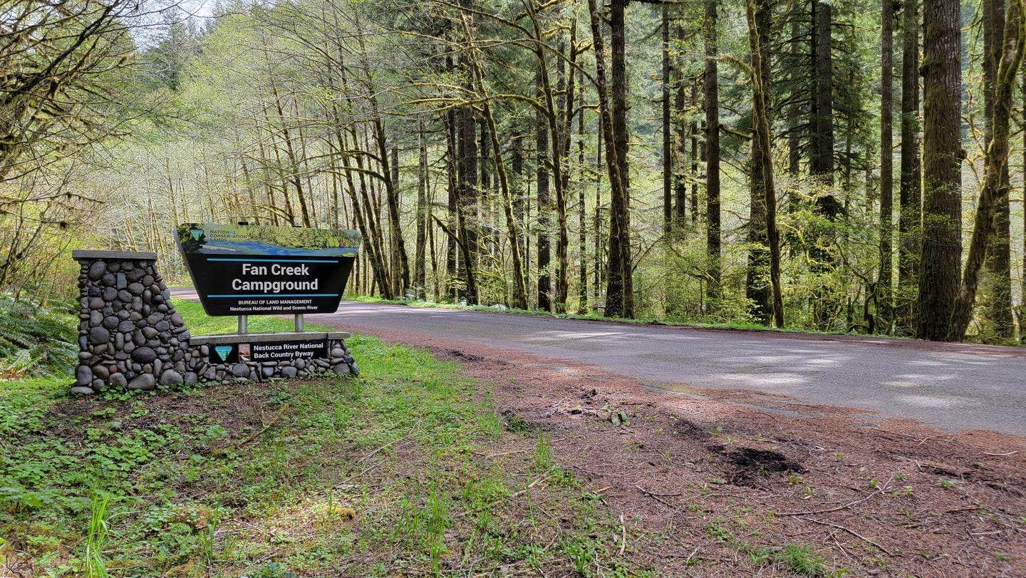 Camper submitted image from Fan Creek Recreation Site - 1