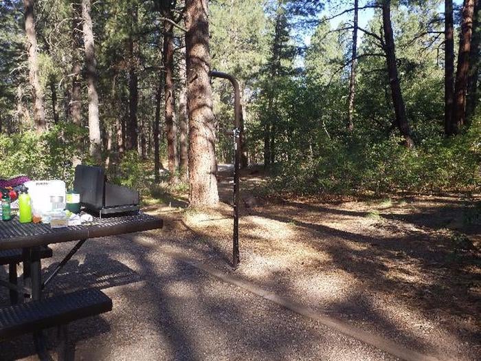 Camper submitted image from Junction Creek Campground - 2