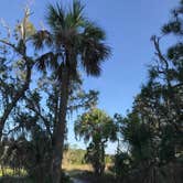 Review photo of Skidaway Island State Park Campground by Joel R., April 11, 2019