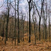 Review photo of Buffalo Ridge Campground — Brown County State Park by Stephen & Theresa B., April 11, 2019