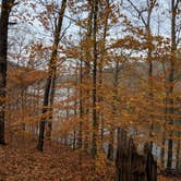 Review photo of Buffalo Ridge Campground — Brown County State Park by Stephen & Theresa B., April 11, 2019