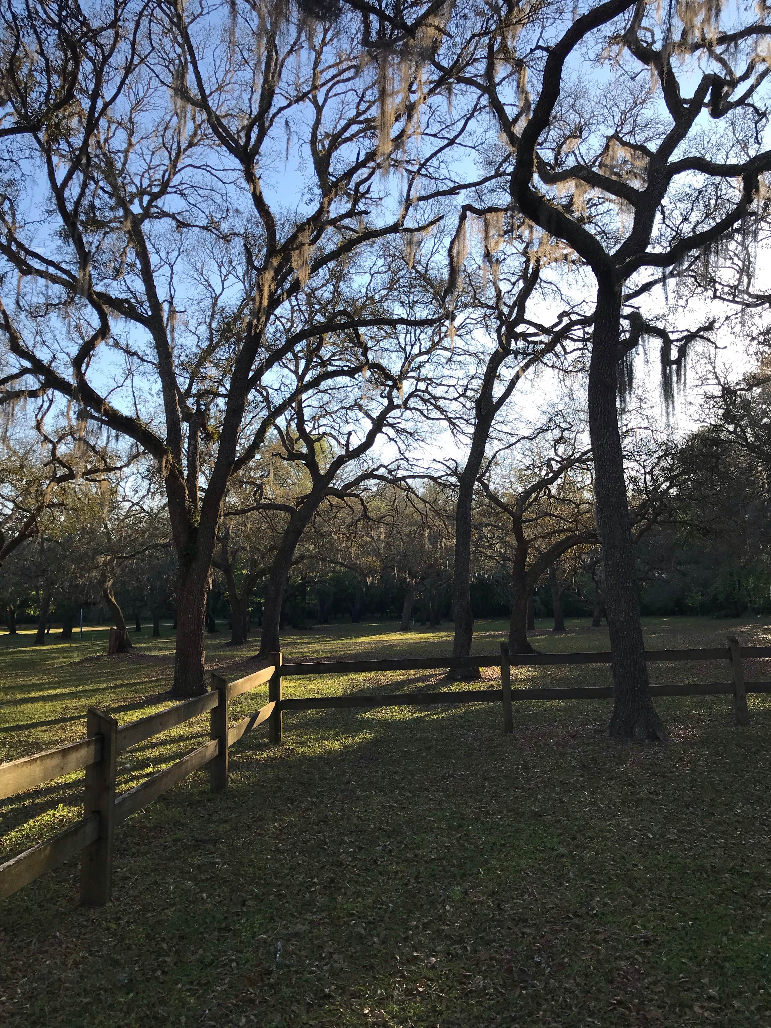 Camper-submitted photo at Otter Springs Park & Campground near Fort White, FL