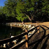 Review photo of Otter Springs Park & Campground by Kelsey G., April 11, 2019