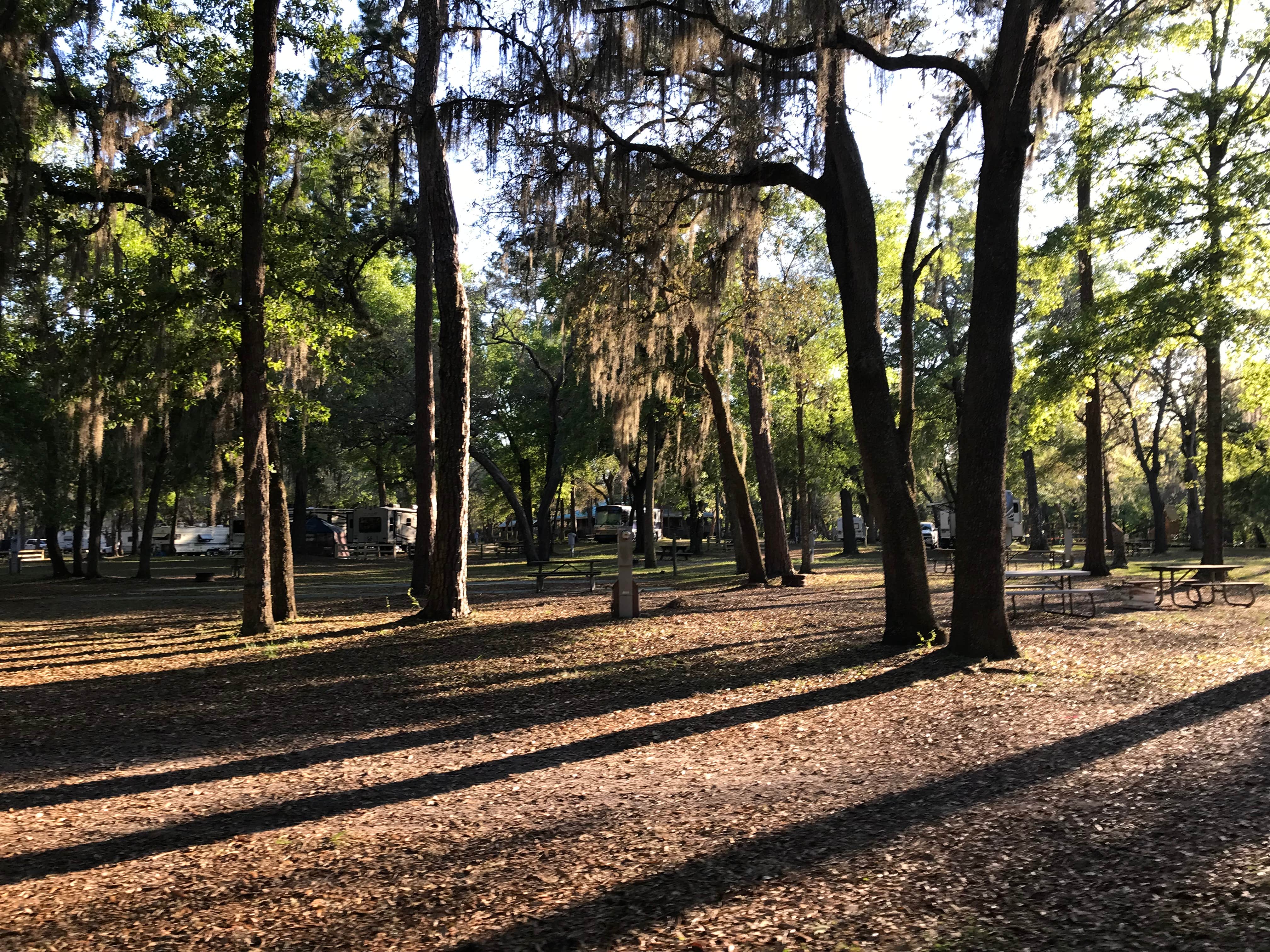 Camper-submitted photo at Otter Springs Park & Campground near Fort White, FL