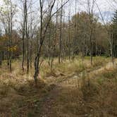 Review photo of Red Creek Campground by Mitch W., August 26, 2016