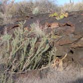 Review photo of Valley Of Fires Recreation Area by Nancy D., April 11, 2019