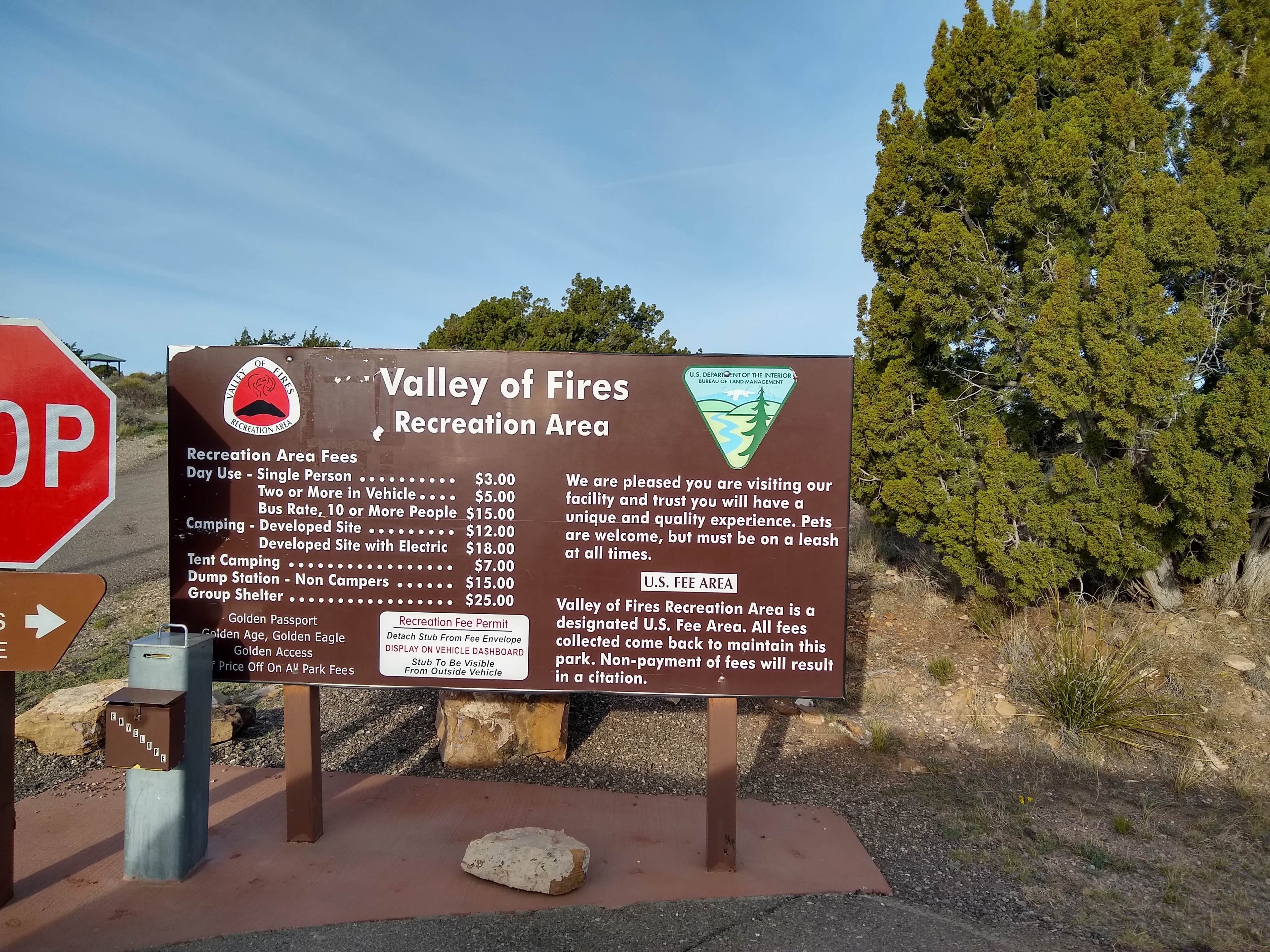 Camper submitted image from Valley Of Fires Recreation Area - 4