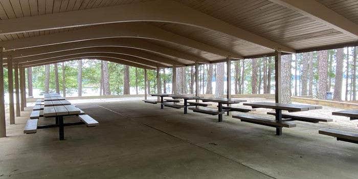 Camper submitted image from COE Hartwell Lake Elrod Ferry