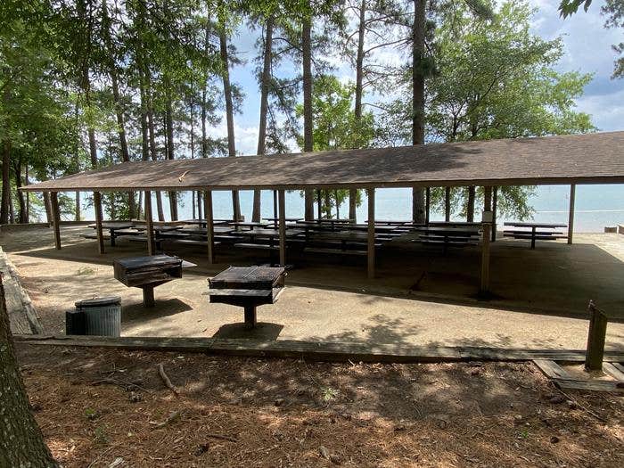 Camper submitted image from COE Hartwell Lake Elrod Ferry - 2