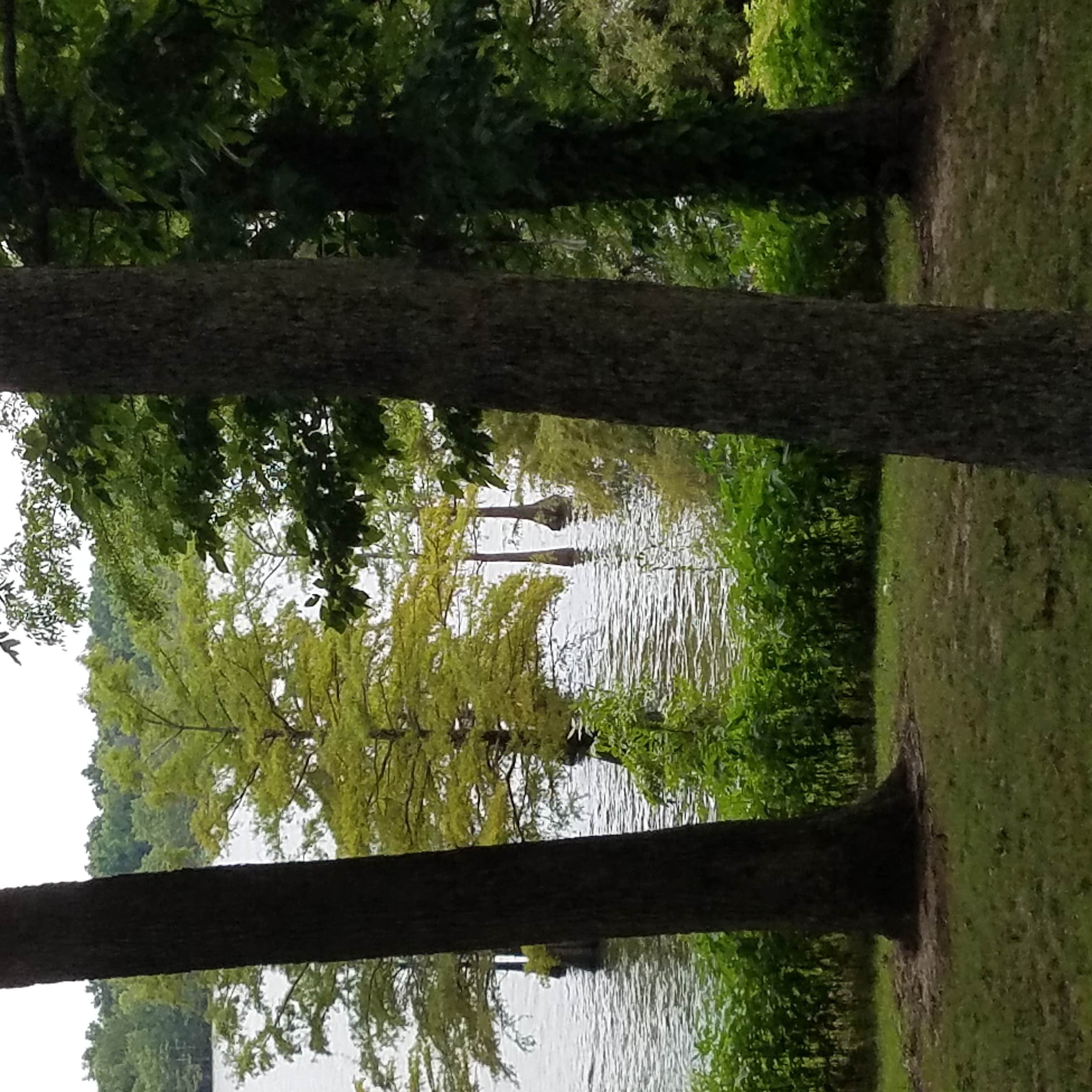 Camper submitted image from Lake Chicot State Park Campground - 5